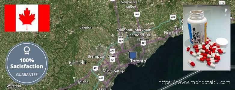Where to Purchase Forskolin Diet Pills online Toronto, Canada