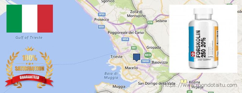Wo kaufen Forskolin online Trieste, Italy
