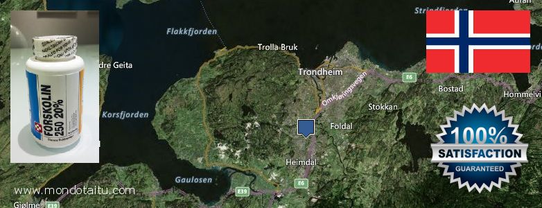 Where to Purchase Forskolin Diet Pills online Trondheim, Norway