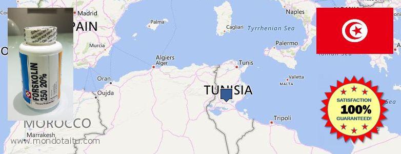 Purchase Forskolin Diet Pills online Tunisia Where to Buy Forskolin Diet Pills online Tunisia