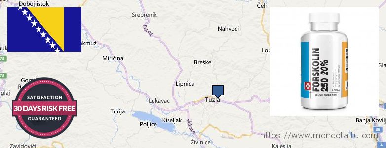 Where to Purchase Forskolin Diet Pills online Tuzla, Bosnia and Herzegovina