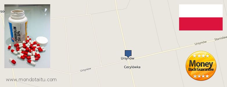Wo kaufen Forskolin online Ursynow, Poland
