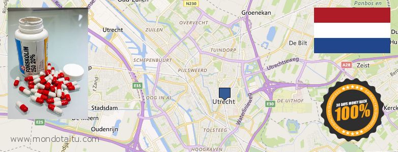 Where to Buy Forskolin Diet Pills online Utrecht, Netherlands