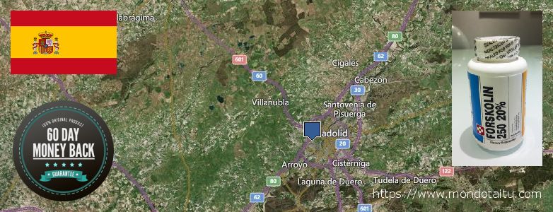 Where to Purchase Forskolin Diet Pills online Valladolid, Spain