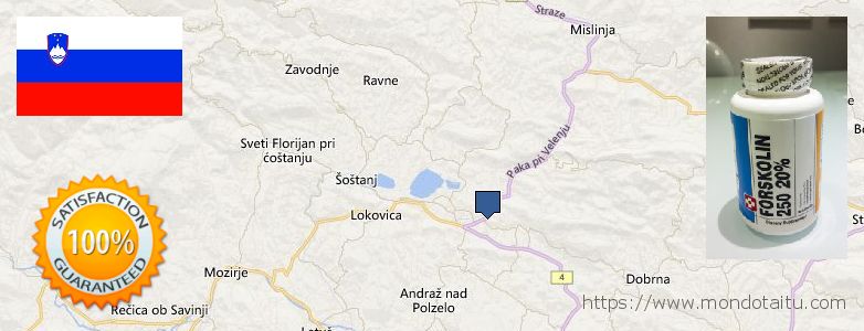 Dove acquistare Forskolin in linea Velenje, Slovenia