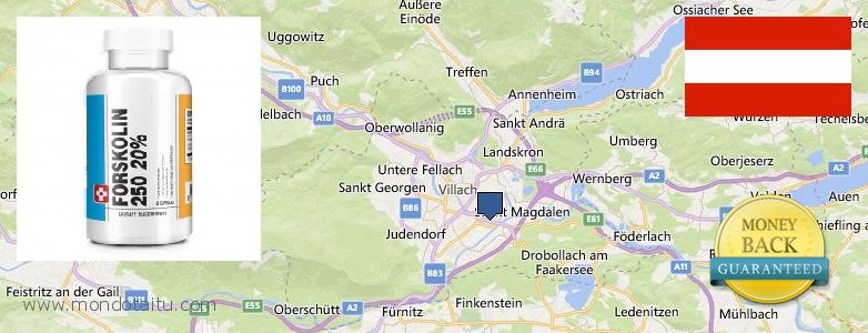 Wo kaufen Forskolin online Villach, Austria