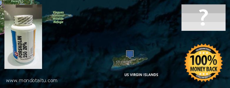 Where to Purchase Forskolin Diet Pills online Virgin Islands