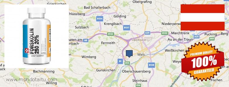 Wo kaufen Forskolin online Wels, Austria