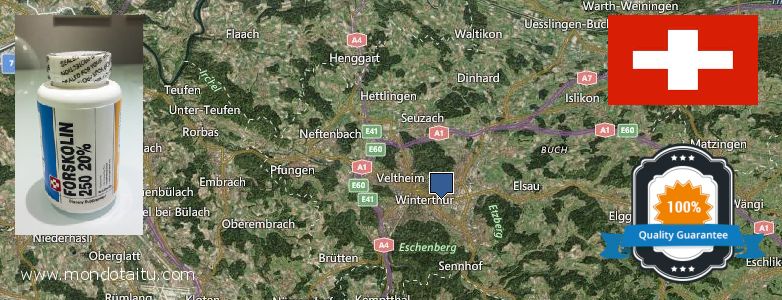 Where Can I Buy Forskolin Diet Pills online Winterthur, Switzerland