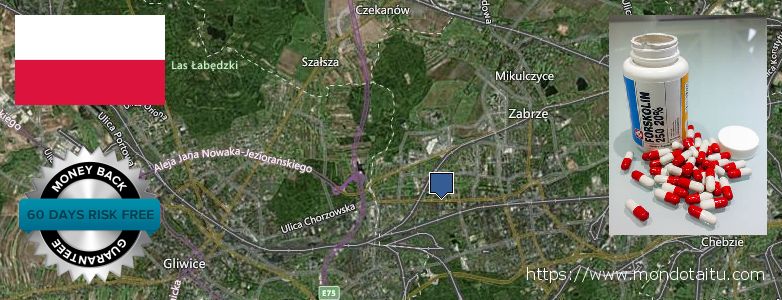 Where to Buy Forskolin Diet Pills online Zabrze, Poland