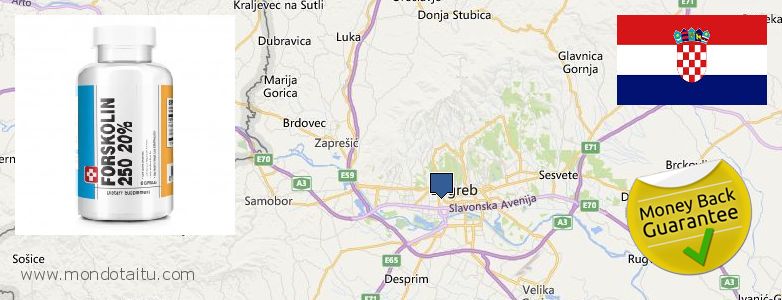 Dove acquistare Forskolin in linea Zagreb, Croatia