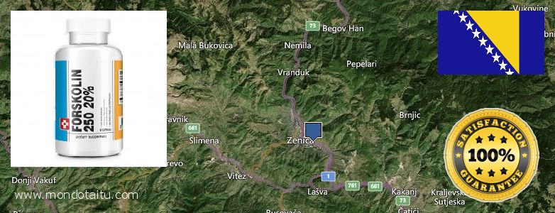 Wo kaufen Forskolin online Zenica, Bosnia and Herzegovina