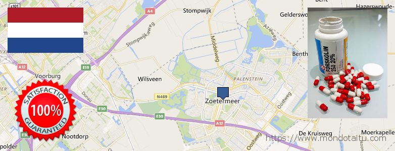 Waar te koop Forskolin online Zoetermeer, Netherlands