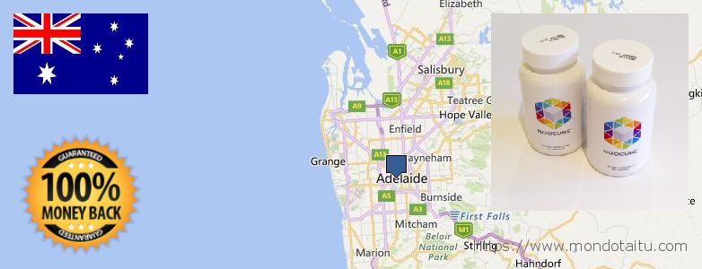 Where to Purchase Nootropics online Adelaide, Australia
