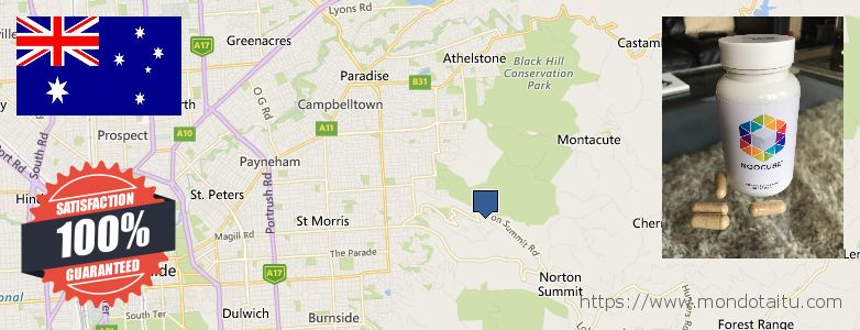 Where to Buy Nootropics online Adelaide Hills, Australia