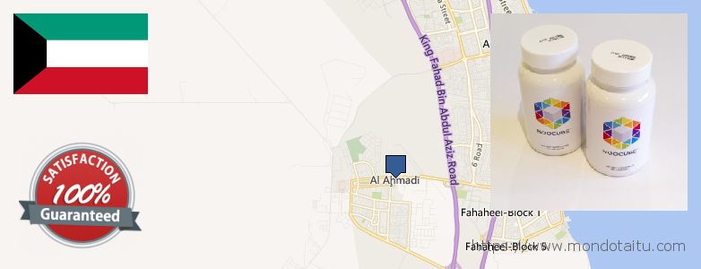 Where to Buy Nootropics online Al Ahmadi, Kuwait