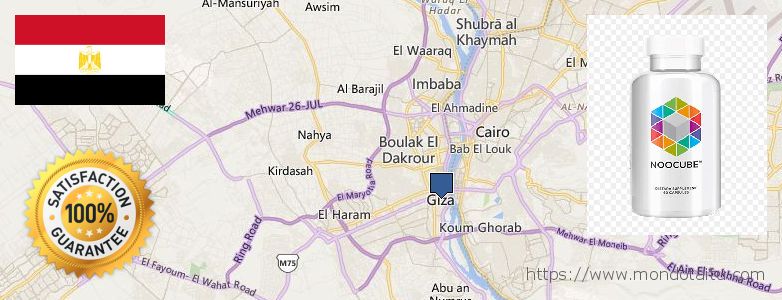 Where to Buy Nootropics online Al Jizah, Egypt