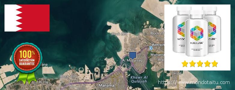 Where to Buy Nootropics online Al Muharraq, Bahrain