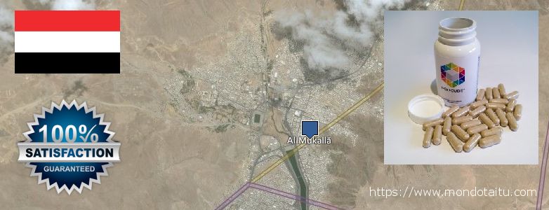 Where to Purchase Nootropics online Al Mukalla, Yemen