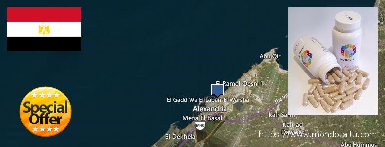 Where to Buy Nootropics online Alexandria, Egypt