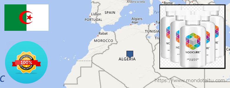 Buy Nootropics online Algeria