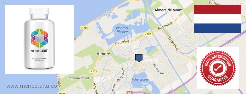 Waar te koop Nootropics Noocube online Almere Stad, Netherlands