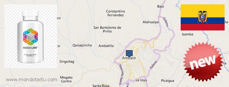 Where to Buy Nootropics online Ambato, Ecuador