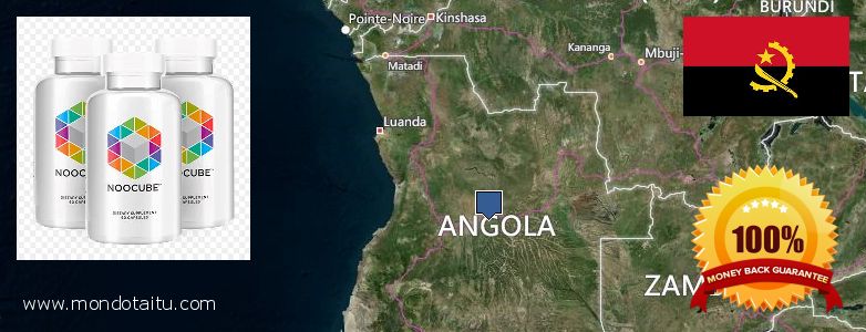 Where to Buy Nootropics online Angola