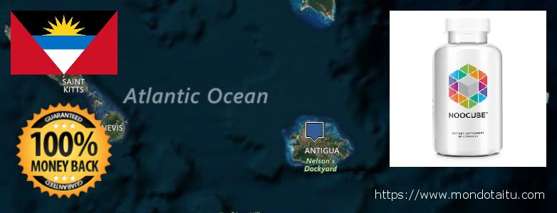 Where to Buy Nootropics online Antigua and Barbuda