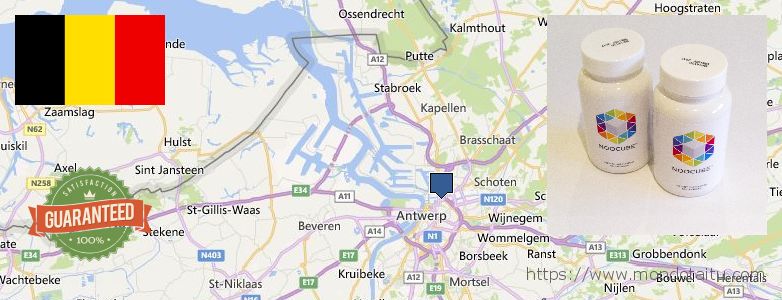 Where Can You Buy Nootropics online Antwerp, Belgium