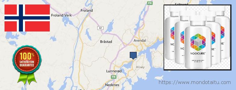 Where to Buy Nootropics online Arendal, Norway