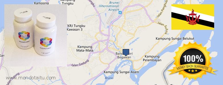 Where to Buy Nootropics online Bandar Seri Begawan, Brunei