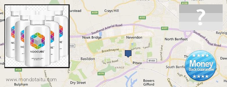 Where to Buy Nootropics online Basildon, UK