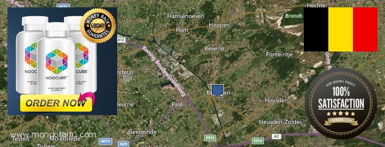 Where to Buy Nootropics online Beringen, Belgium