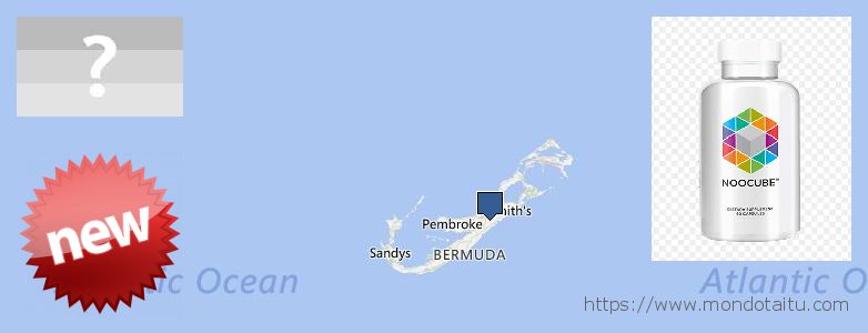 Where to Purchase Nootropics online Bermuda