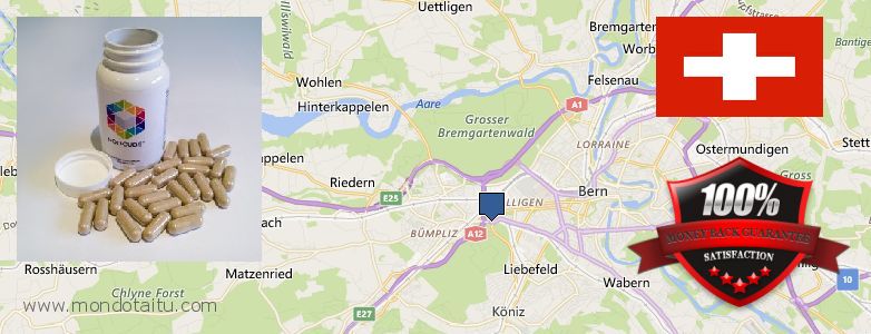 Where Can I Purchase Nootropics online Bern, Switzerland