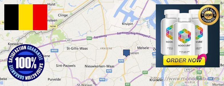 Where to Purchase Nootropics online Beveren, Belgium