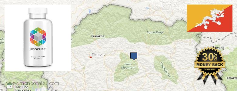 Where to Buy Nootropics online Bhutan