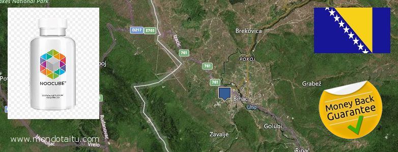 Where to Purchase Nootropics online Bihac, Bosnia and Herzegovina