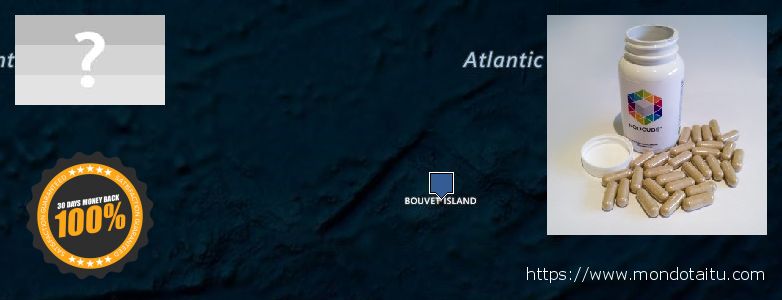 Buy Nootropics online Bouvet Island Purchase Nootropics online Bouvet Island