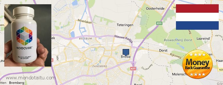 Purchase Nootropics online Breda, Netherlands