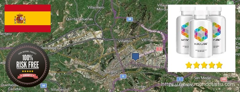 Best Place to Buy Nootropics online Burgos, Spain