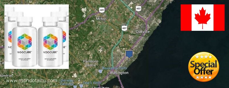 Where to Buy Nootropics online Burlington, Canada