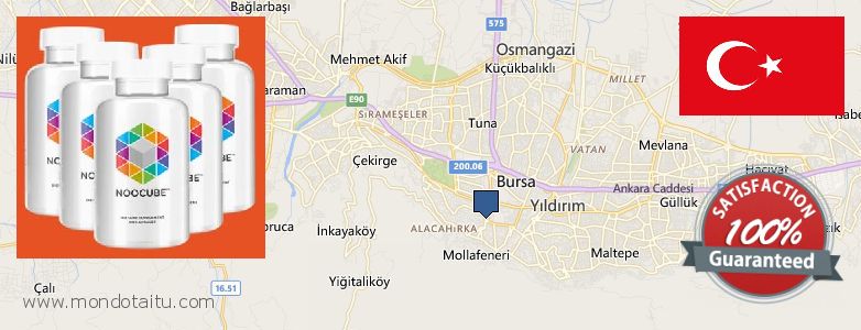 Where to Buy Nootropics online Bursa, Turkey