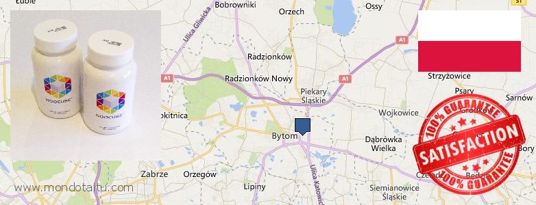 Where to Buy Nootropics online Bytom, Poland