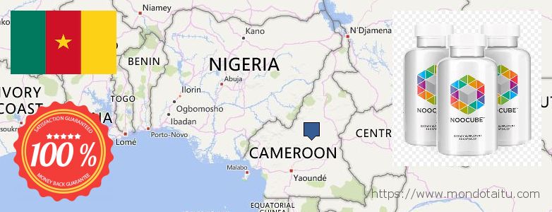Buy Nootropics online Cameroon Where to Buy Nootropics online Cameroon