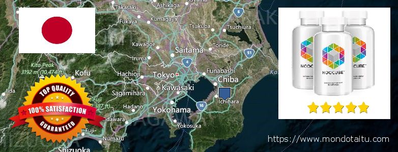 Where to Buy Nootropics online Chiba, Japan