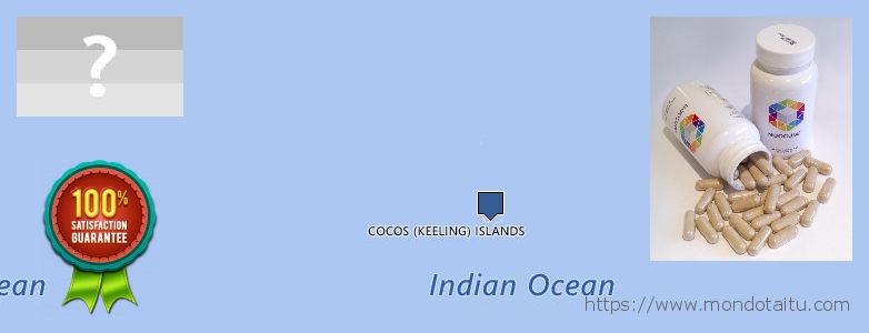 Purchase Nootropics online Cocos Islands Where to Buy Nootropics online Cocos Islands