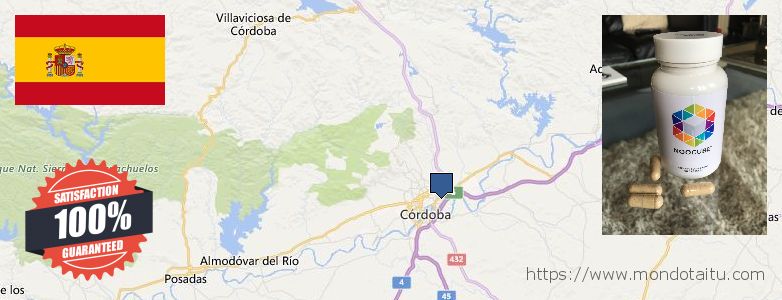 Where to Buy Nootropics online Cordoba, Spain