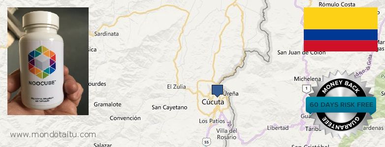 Where to Buy Nootropics online Cucuta, Colombia